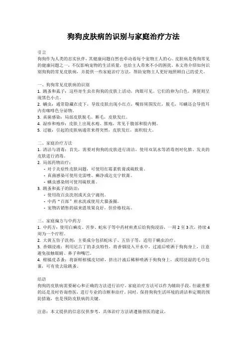 狗狗皮肤病的识别与家庭治疗方法
