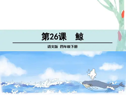 四年级下册语文课件-26 鲸 语文S版(共47张PPT)