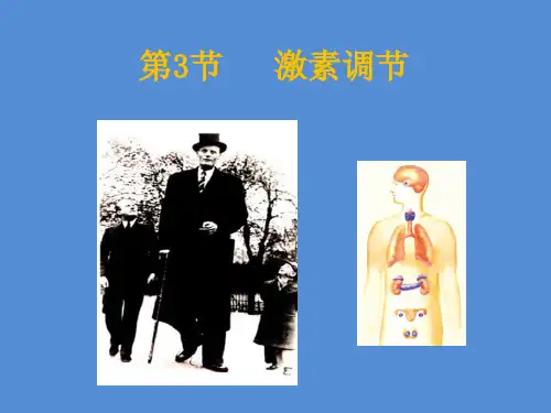 北师大版生物七下1 激素调节 课件