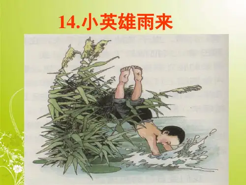 四年级下语文-小英雄雨来-(完美版)ppt课件