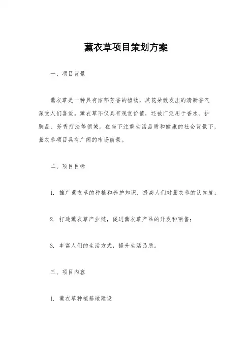 薰衣草项目策划方案