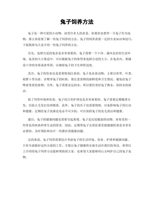 兔子饲养方法