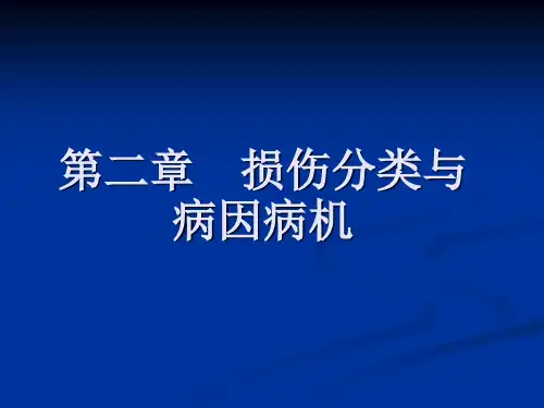 损伤分类与病因病机—中医伤科学
