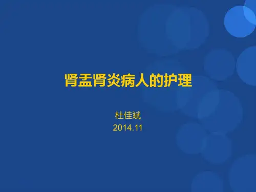 肾盂肾炎病人的护理PPT参考幻灯片