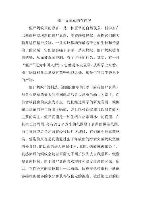 僵尸蚁菌真的存在吗