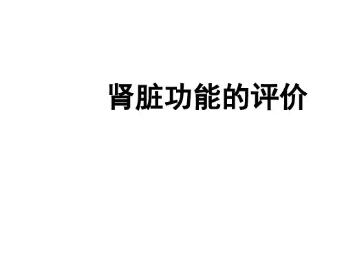 肾功能评价-