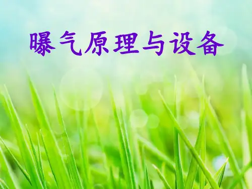 第三组曝气原理及设备