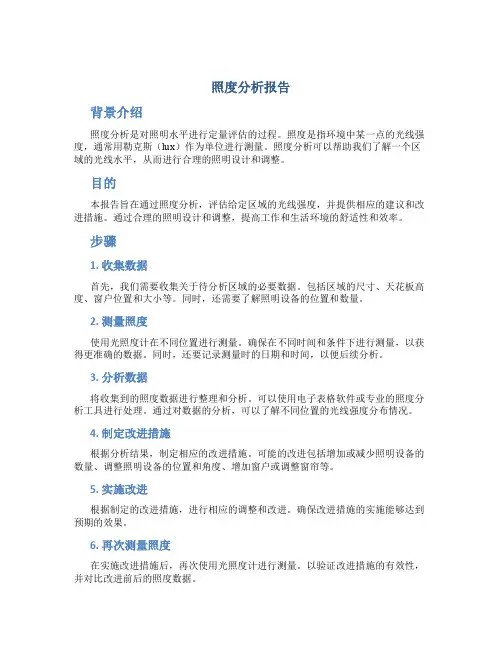 照度分析报告