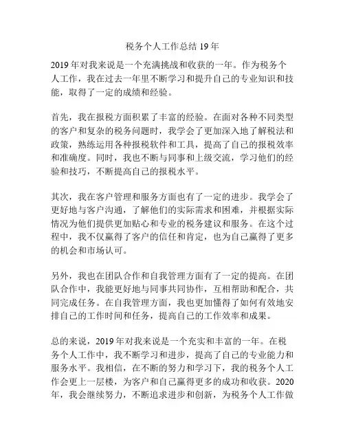 税务个人工作总结19年