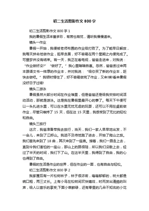 初二生活剪影作文800字