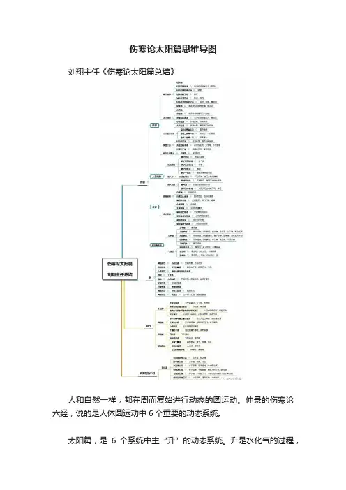 伤寒论太阳篇思维导图