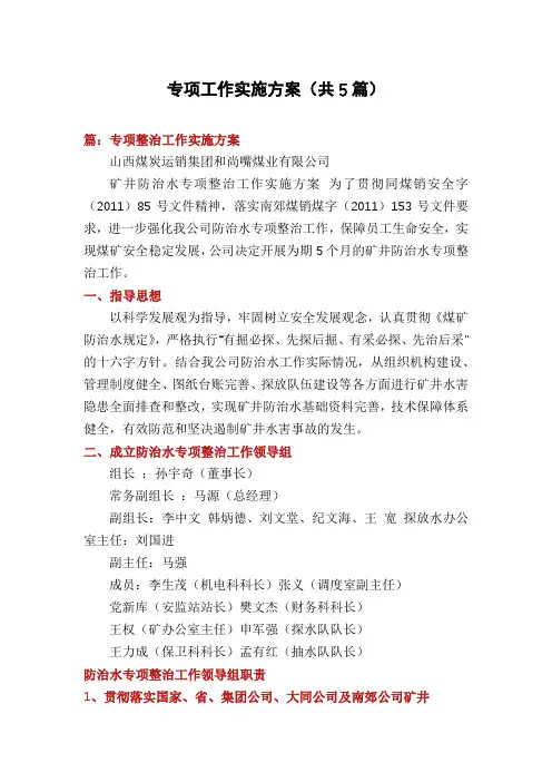 专项工作实施方案(共5篇)