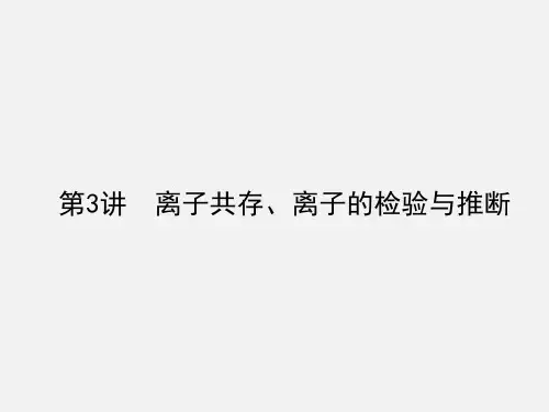 高考化学 一轮复习 第二章 化学物质及其变化 3 离子共存、离子的检验与推断 新人教版