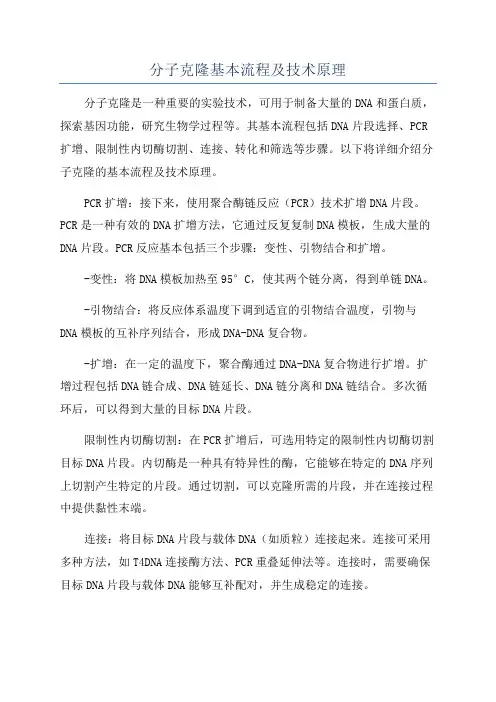 分子克隆基本流程及技术原理