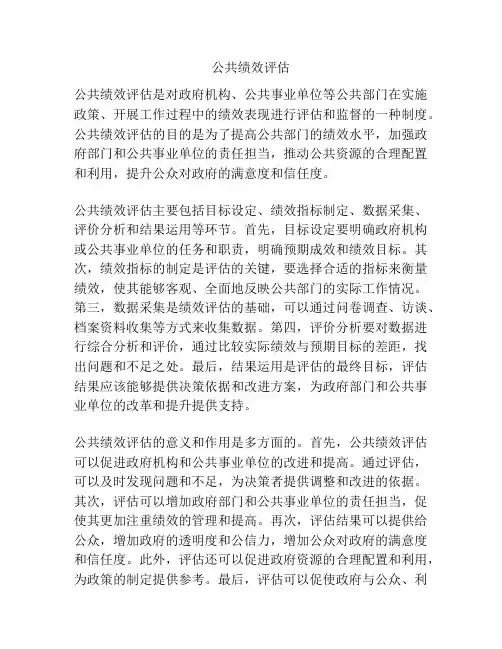 公共绩效评估