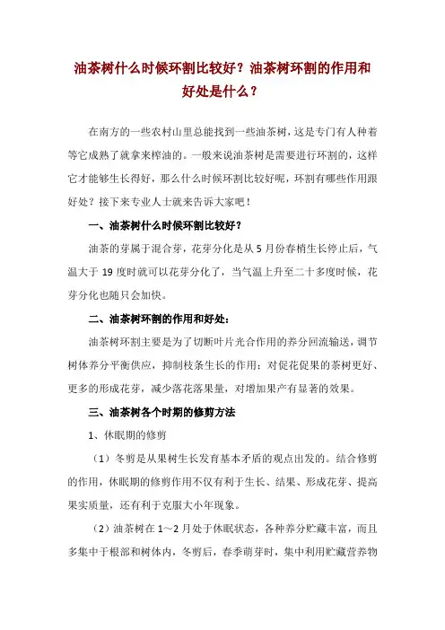 油茶树什么时候环割比较好？油茶树环割的作用和好处是什么？