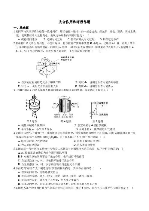 光合作用和呼吸作用