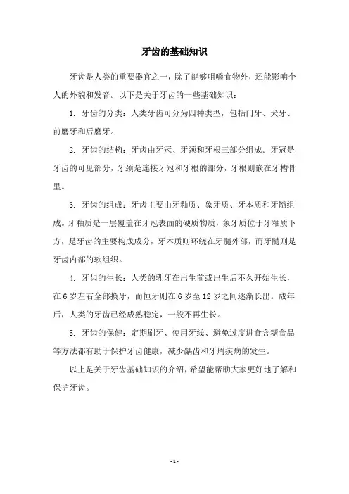 牙齿的基础知识