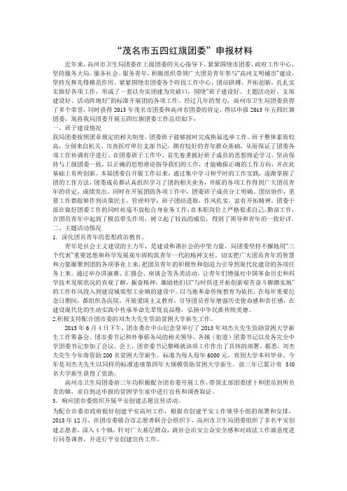 “茂名市五四红旗团委”申报材料