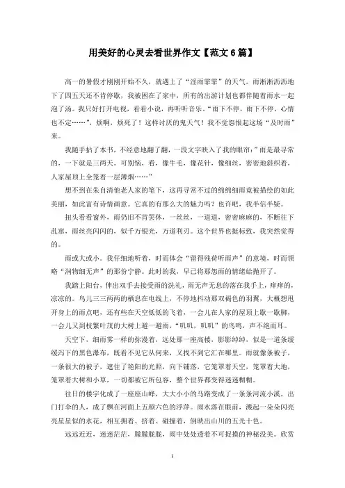 精选用美好的心灵去看世界作文【范文6篇】