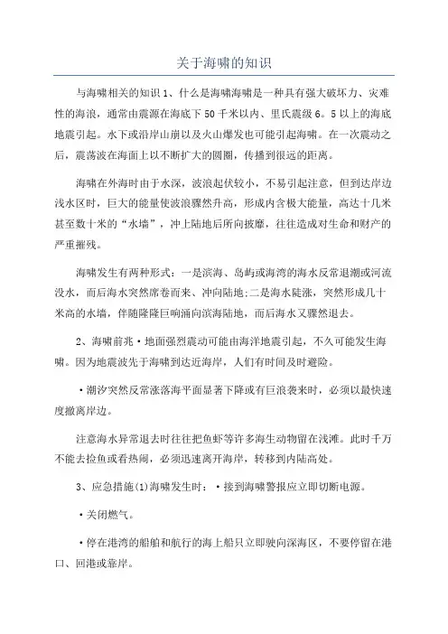 关于海啸的知识