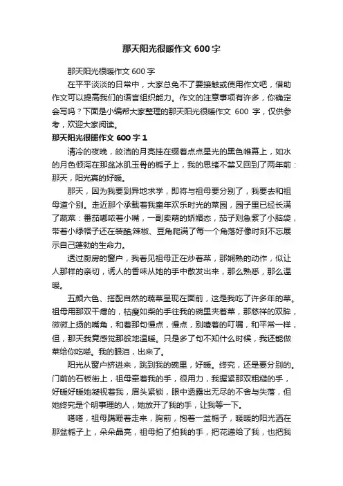 那天阳光很暖作文600字