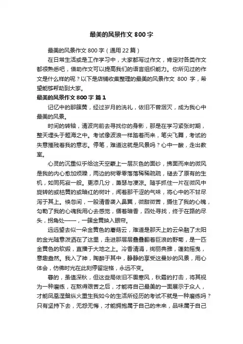 最美的风景作文800字