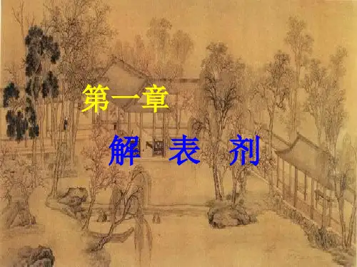 1 解表剂