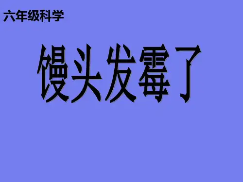 【青岛版】六年级科学上册第3课《馒头发霉了》课件