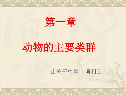 (整理版)动物的主要类群复习课件