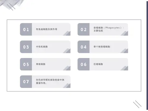 部分固有免疫系统及应答应答-本科
