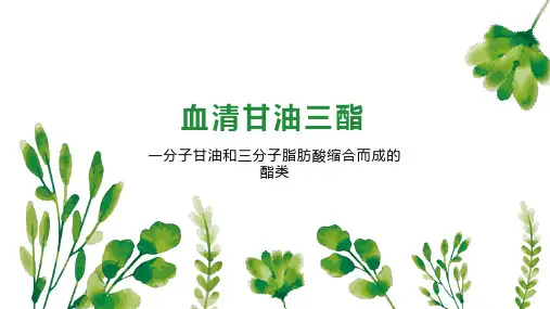 血清甘油三酯