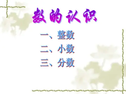 苏教版六年级数学下总复习《数的认识》PPT课件-(3)