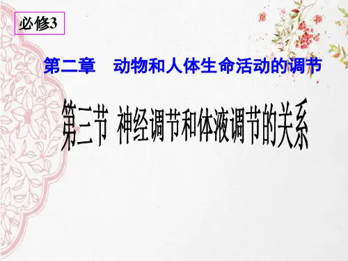 新版人教版高中生物神经调节和体液调节的关系 (共18张PPT)学习演示PPT课件