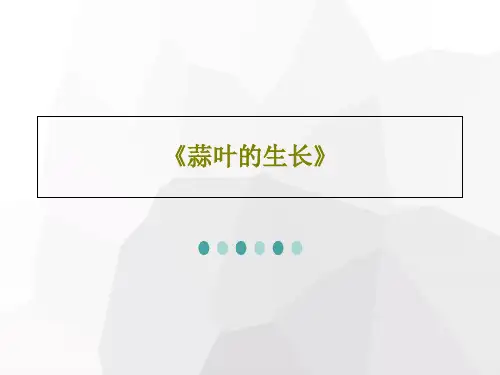 《蒜叶的生长》共26页文档