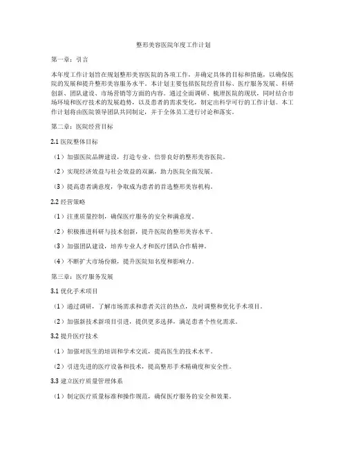 整形美容医院年度工作计划
