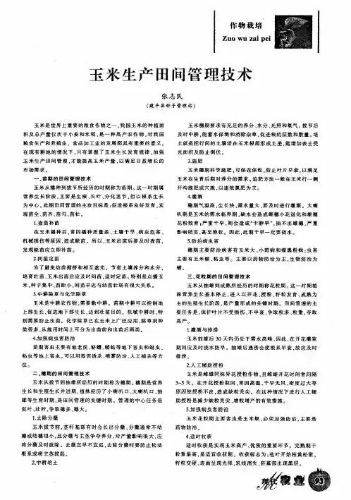 玉米生产田间管理技术