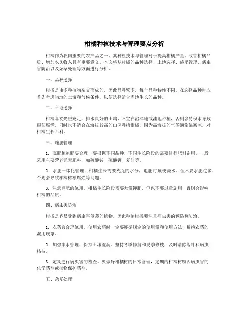 柑橘种植技术与管理要点分析