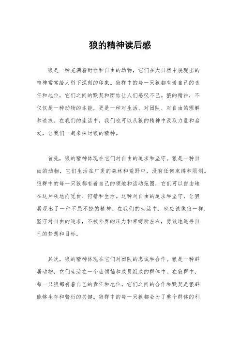 狼的精神读后感