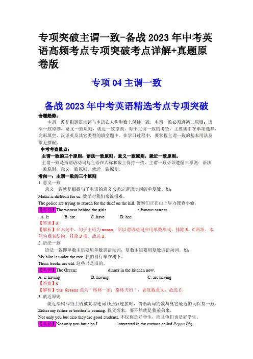 专项突破主谓一致-备战2023年中考英语高频考点专项突破考点详解+真题原卷版