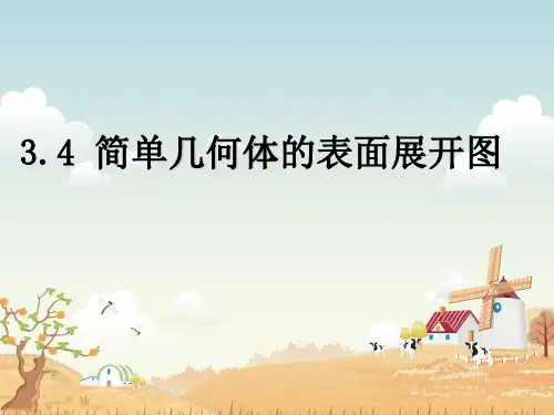 圆锥的表面展开图