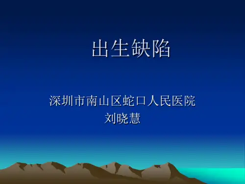 出生缺陷 PPT课件