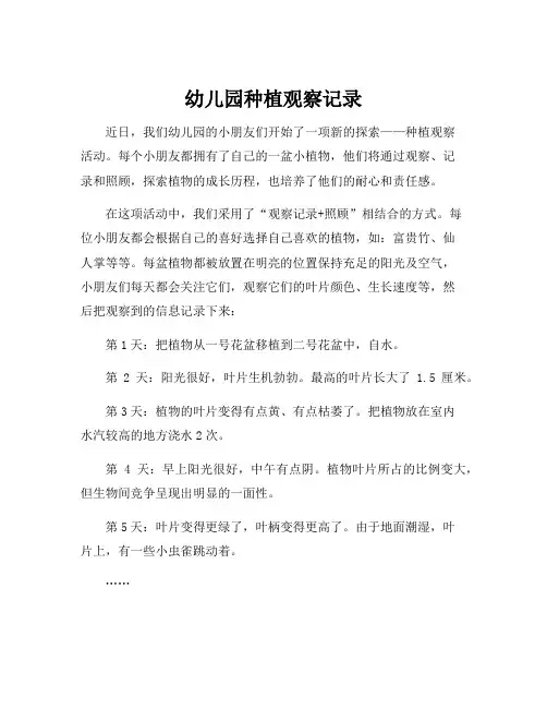 幼儿园种植观察记录