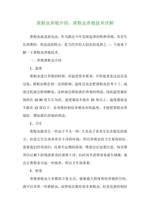 黄粉虫养殖介绍,黄粉虫养殖技术详解