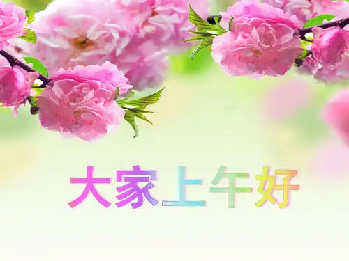 我的作文教学经验交流