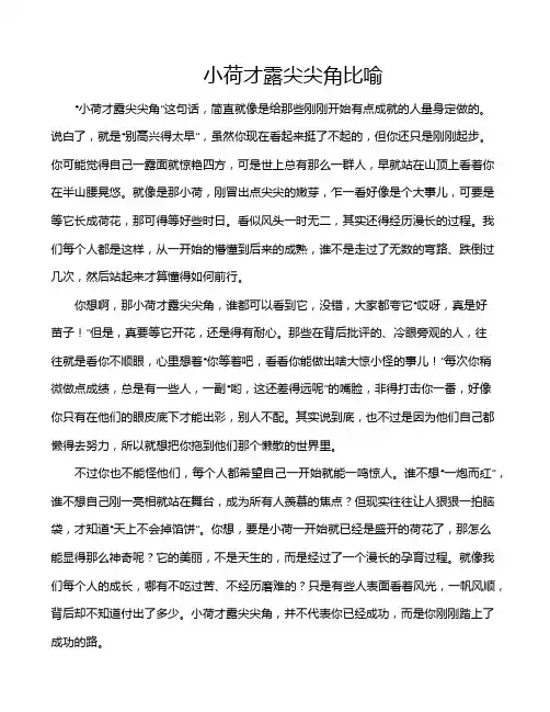 小荷才露尖尖角比喻