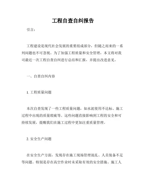 工程自查自纠报告