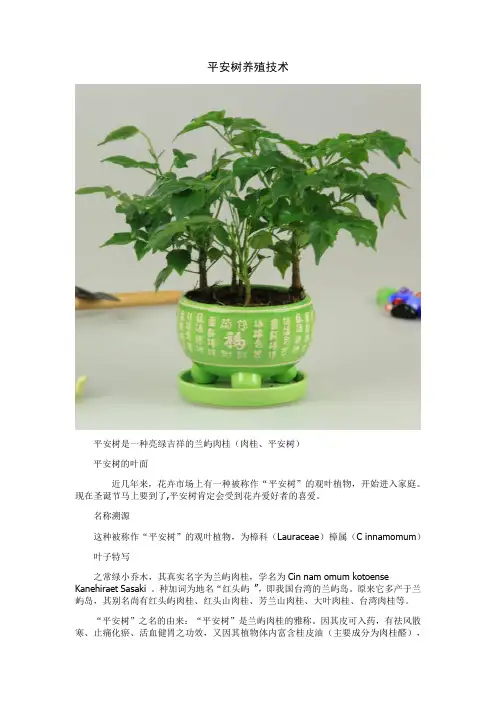 平安树养殖技术