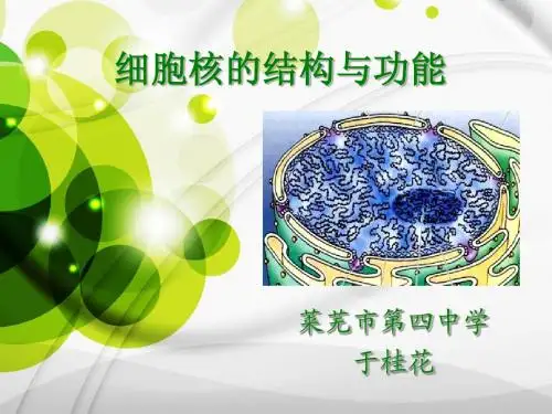 细胞核的结构与功能   省优质课课件