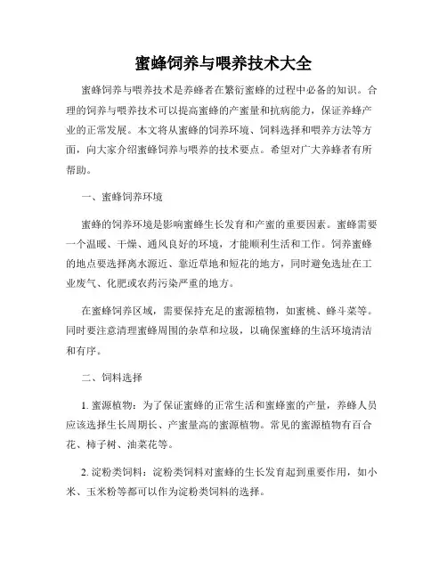 蜜蜂饲养与喂养技术大全